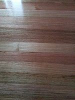Tassie Oak Standard